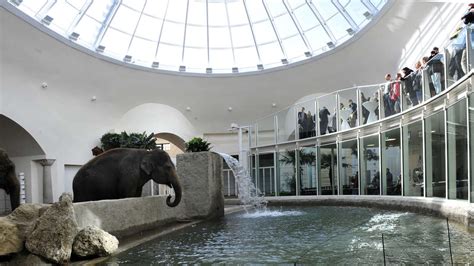 16 Millionen mehr! Warum wird im Tierpark das Elefantenhaus so 